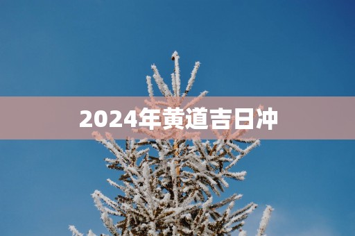 2025年黄道吉日冲