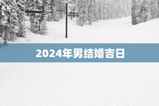 2025年男结婚吉日