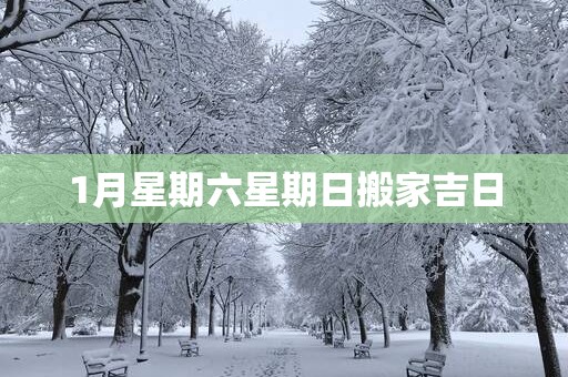 1月星期六星期日搬家吉日