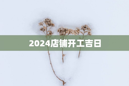 2025店铺开工吉日