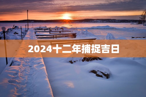 2025十二年捕捉吉日