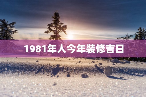 1981年人今年装修吉日