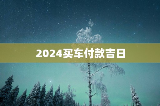 2025买车付款吉日