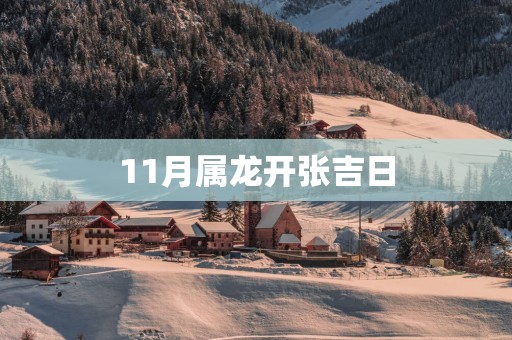 11月属龙开张吉日