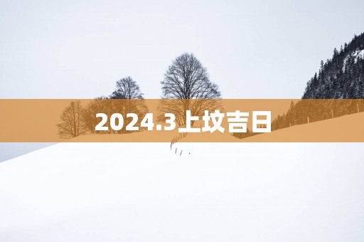 2025.3上坟吉日