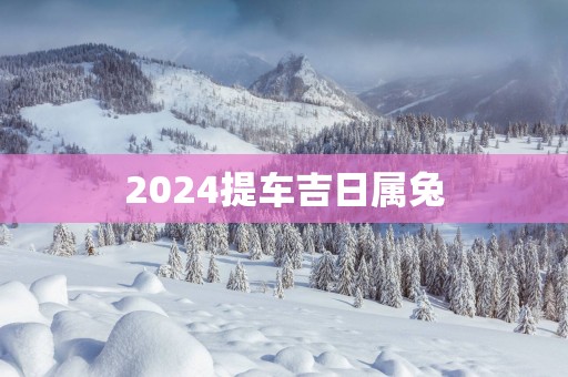 2025提车吉日属兔
