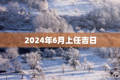 2025年6月上任吉日