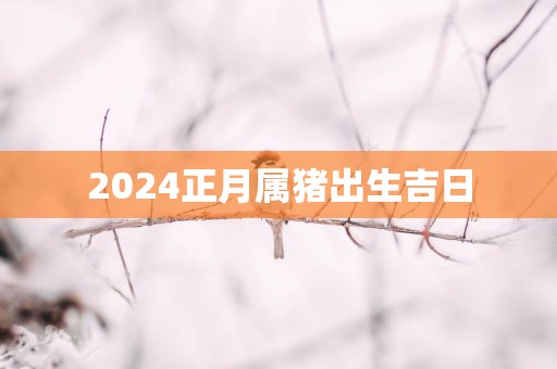 2025正月属猪出生吉日