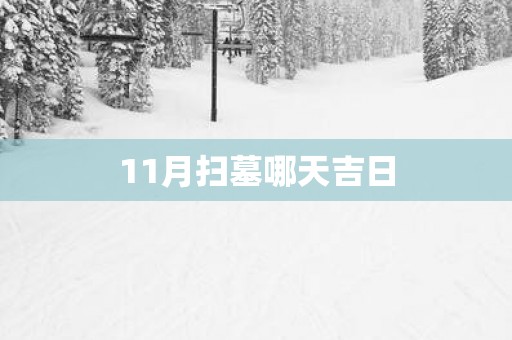 11月扫墓哪天吉日