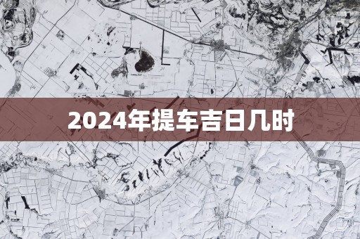 2025年提车吉日几时