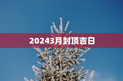 20253月封顶吉日