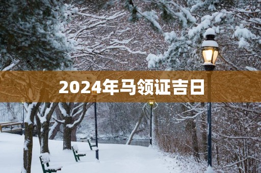 2025年马领证吉日