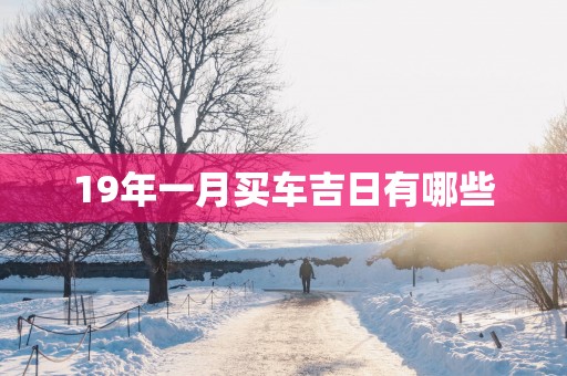 19年一月买车吉日有哪些