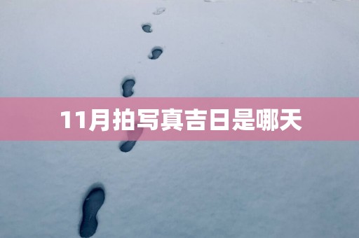 11月拍写真吉日是哪天