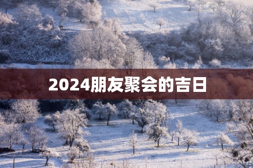 2025朋友聚会的吉日