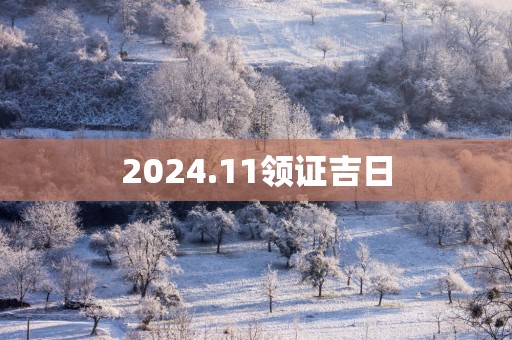 2025.11领证吉日
