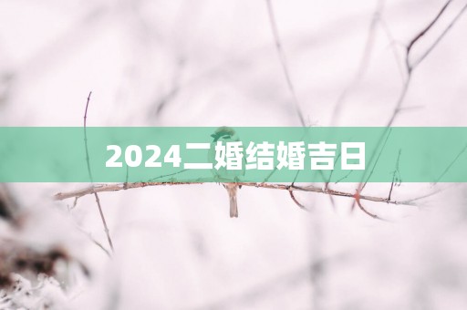 2025二婚结婚吉日