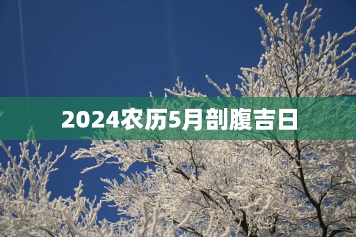 2025农历5月剖腹吉日
