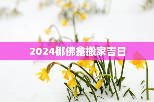2025挪佛龛搬家吉日