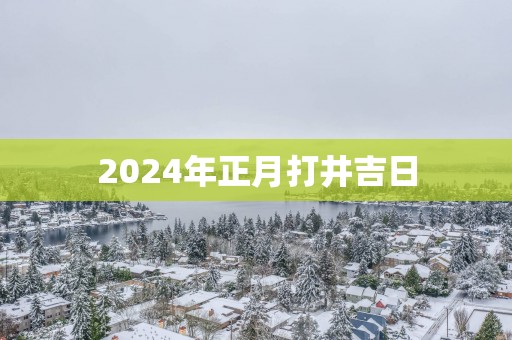 2025年正月打井吉日