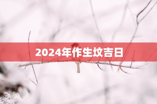 2025年作生坟吉日
