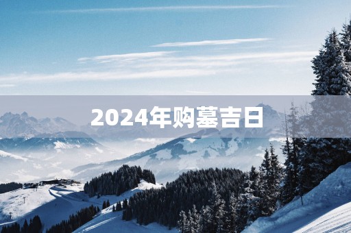 2025年购墓吉日