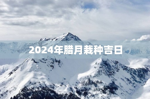 2025年腊月栽种吉日