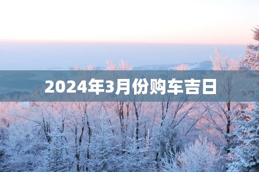 2025年3月份购车吉日
