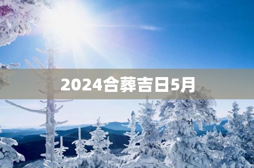 2025合葬吉日5月