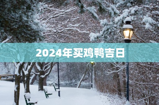 2025年买鸡鸭吉日