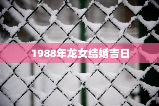 1988年龙女结婚吉日