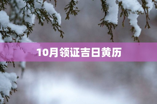 10月领证吉日黄历
