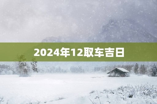2025年12取车吉日