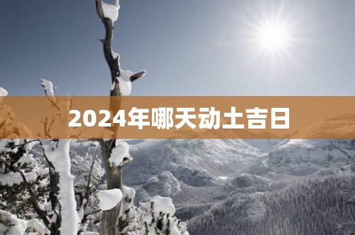 2025年哪天动土吉日