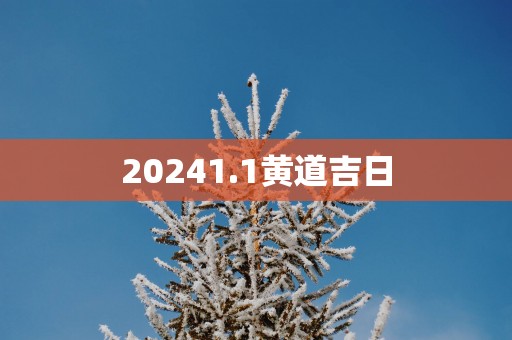 20251.1黄道吉日