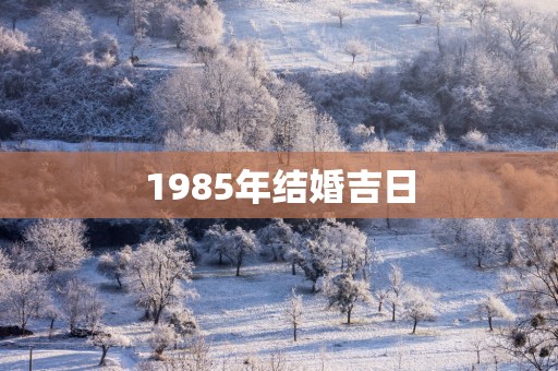 1985年结婚吉日