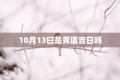 10月13曰是黄道吉日吗