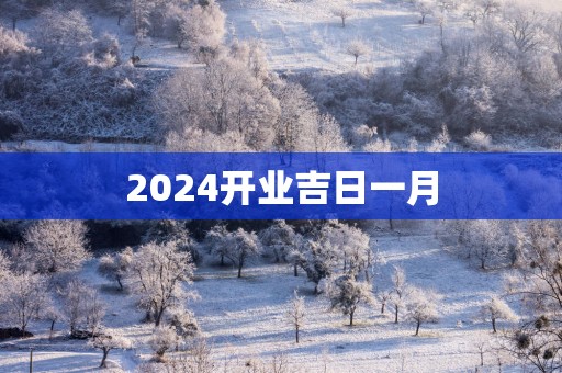 2025开业吉日一月