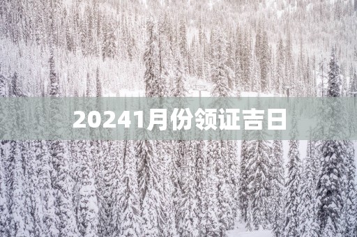 20251月份领证吉日