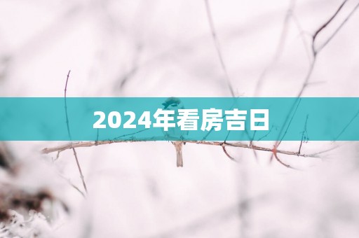 2025年看房吉日