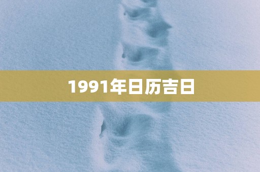 1991年日历吉日