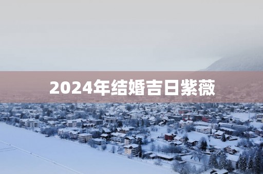 2025年结婚吉日紫薇