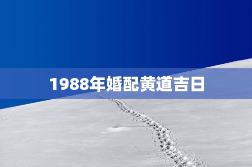 1988年婚配黄道吉日