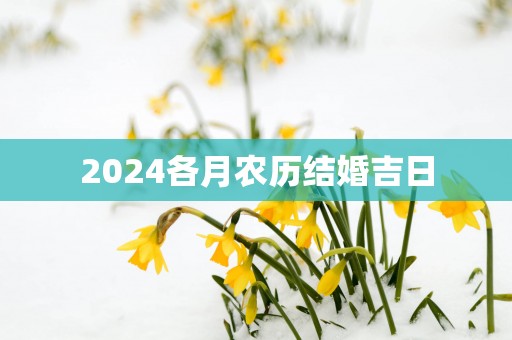2025各月农历结婚吉日