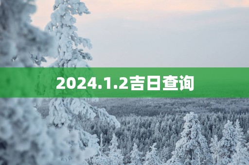 2025.1.2吉日查询