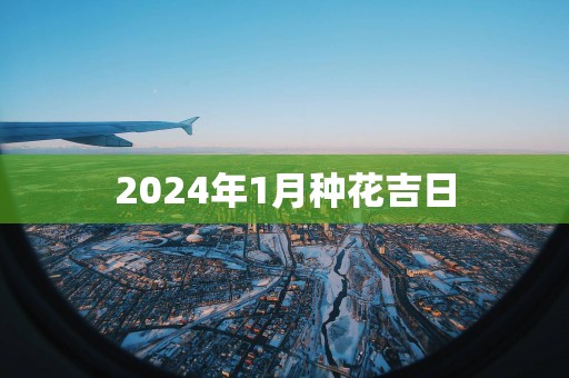 2025年1月种花吉日