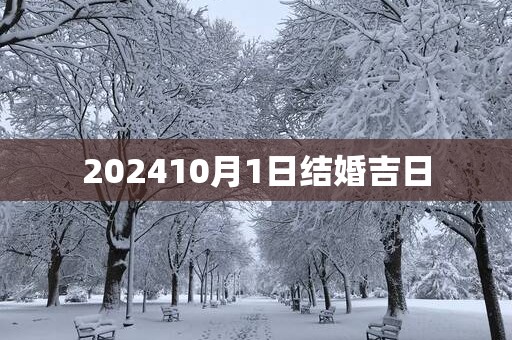 202510月1日结婚吉日