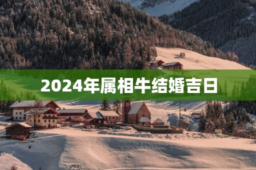 2025年属相牛结婚吉日