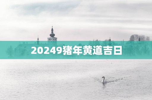20259猪年黄道吉日
