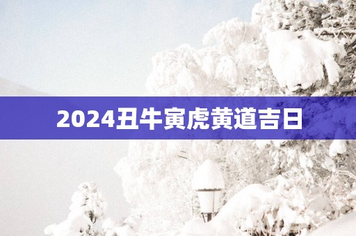 2025丑牛寅虎黄道吉日